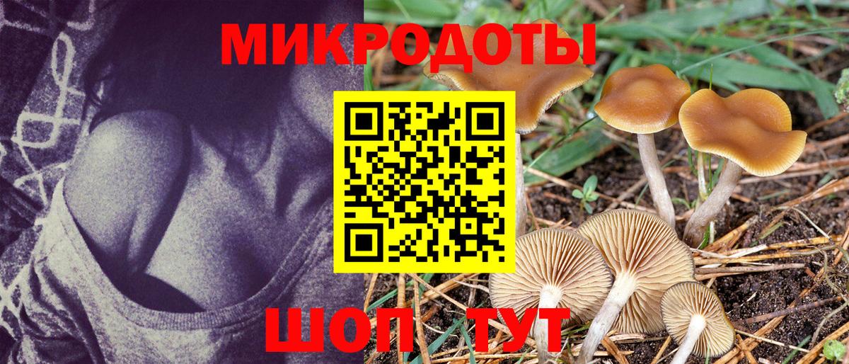 Назарово  Галлюциногенные грибы прущие грибы  Вход с VPN 